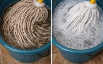 Featured image for Very Dirty Mop, Do Not Buy It Again: A Drop of Thi