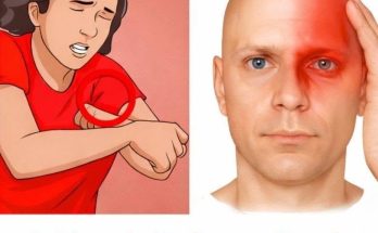 Featured image for The Body's Gentle Whisper: 10 Early Warning Signs